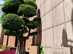 -白鹤梁水下博物馆