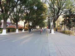 -吉林大学(前卫南区)