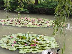 -洛阳市隋唐城遗址植物园
