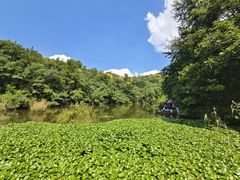 -天目湖山水园