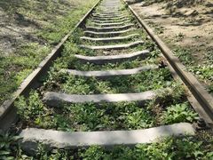 -永定河休闲森林公园