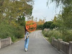 -梁鸿国家湿地公园