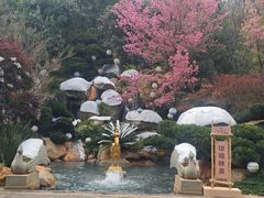 -七彩云南古滇温泉山庄