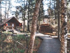 -五营红松林海景区