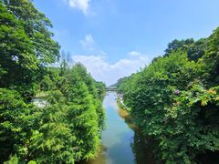-广州市帽峰山景区