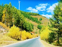 -塞罕坝国家级自然保护区