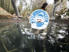 -观唐（国际）度假村温泉