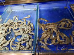 -渔公码头·九龙湾国际饭店