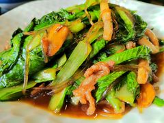 有机小白菜炒粉条-梅飞酒家(桑园路店)