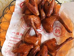 -百利鸽王(紫薇路店)