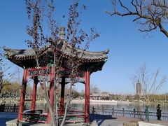 -西海子公园