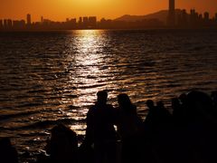 -深圳湾公园(南山区)