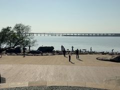 -宝安西湾红树林湿地公园