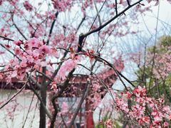 -堤角公园