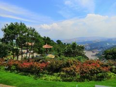 -铁山坪森林公园