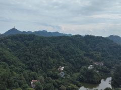 -南山植物园