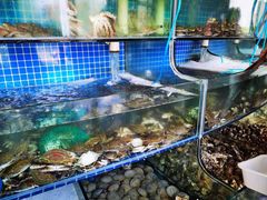水产区-蟹谢蒸鲜自助餐厅
