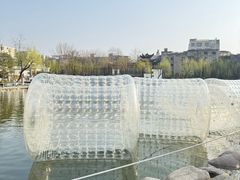 -莲湖公园