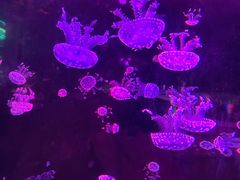 -广州海洋馆