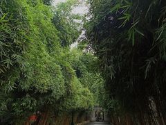 -成都武侯祠博物馆