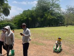 -南宁良凤江国家森林公园