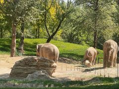 -北京野生动物园