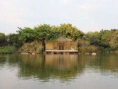 -海珠湖公园