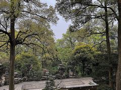 -南山植物园