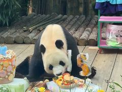 -大连森林动物园