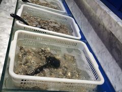 -火锅岛潮牌自助餐厅(天津天佑城店)