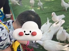 -长白岛森林公园