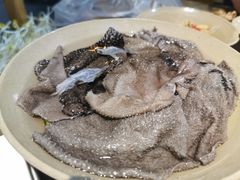 毛肚-周记全牛油火锅