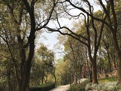 -上海市保健医疗中心(华东疗养院)