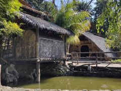 -海南槟榔谷黎苗文化旅游区
