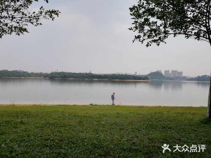 松山湖南湖湾露营营地图片