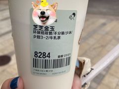 -喜茶(迪士尼小镇DP店)