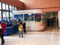 -厦门市儿童医院