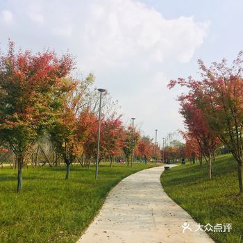 地铁广告推荐看粉黛乱子草宝藏公园