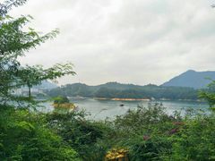 -广州市流溪河国家森林公园