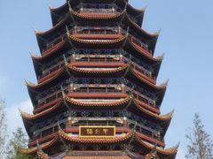 -铁山坪森林公园