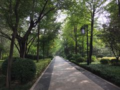 -迎泽公园