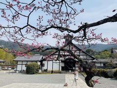 -醍醐寺