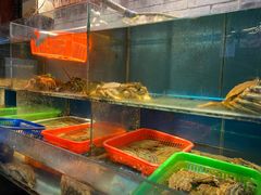 水产区-吉友粥底火锅(方斜路店)