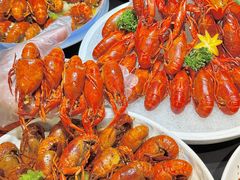 -京悦南门涮羊肉·羊蝎子火锅(田林路店)