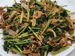 孜然炒羊肉-那达慕蒙古风味酒楼