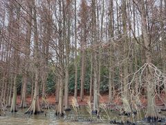 -上海海湾国家森林公园