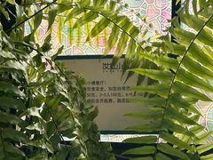 -野蔓果·山野菜(西湖景区·龙井茶田店)