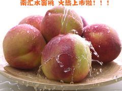 -南汇水蜜桃采摘(大团店)