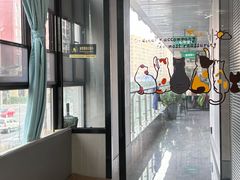 -半岛宠物医院24小时(西派城店)