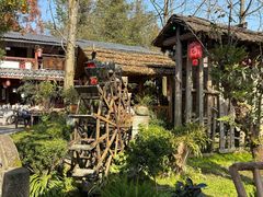 -青城甲(青城山店)